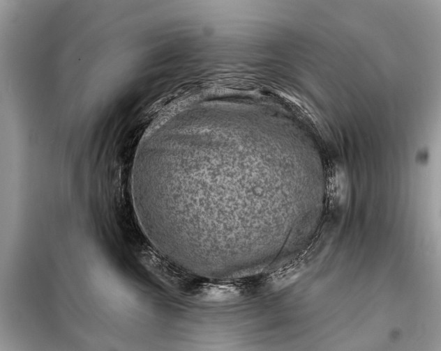 X0000098200572200805081114