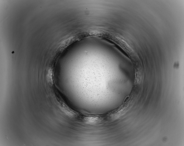 X0000098200575200805081114