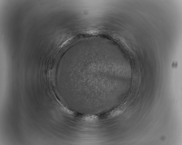 X0000098200576200805081114