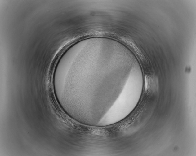 X0000098200579200805081113