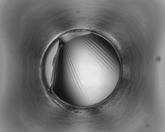 X0000098200580200805081113