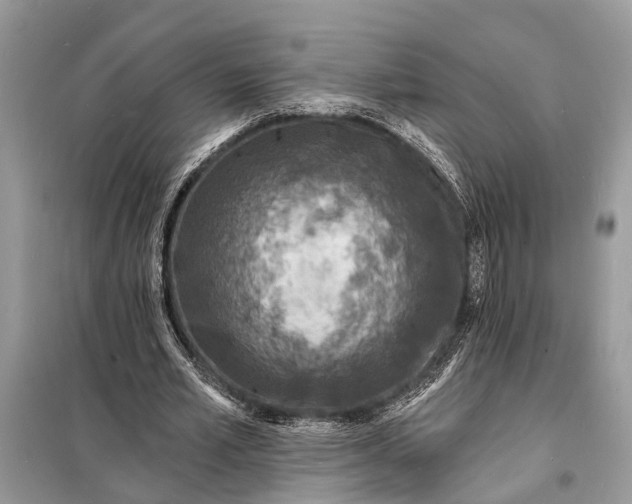 X0000098200581200805081113
