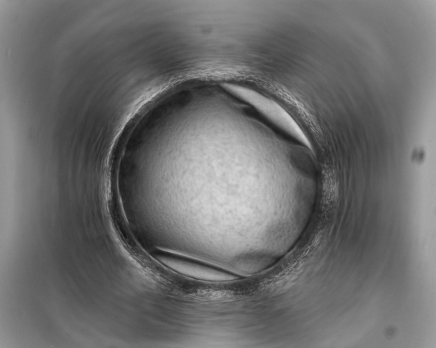 X0000098200582200805081113