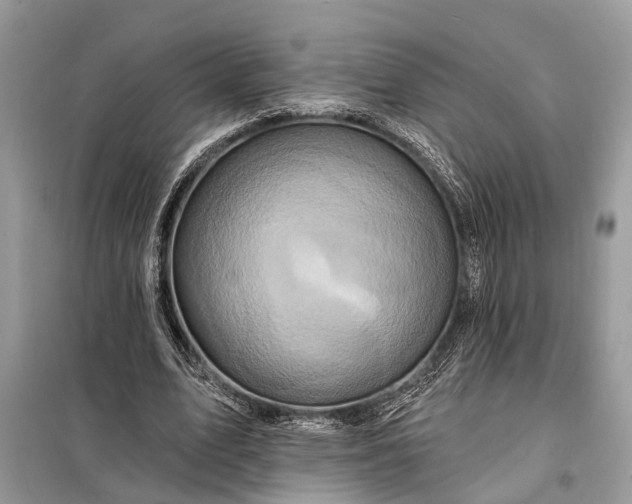 X0000098200583200805081113