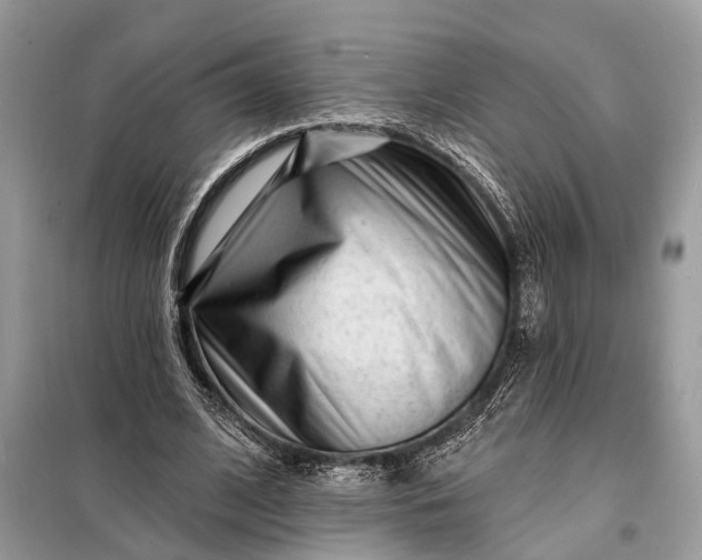 X0000098200584200805081113