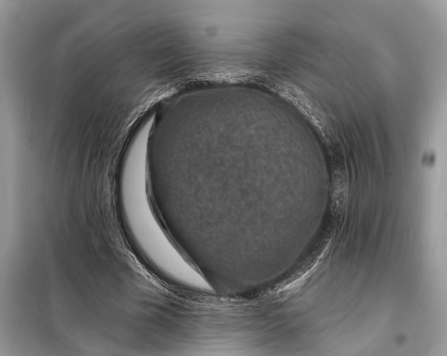 X0000098200585200805081113