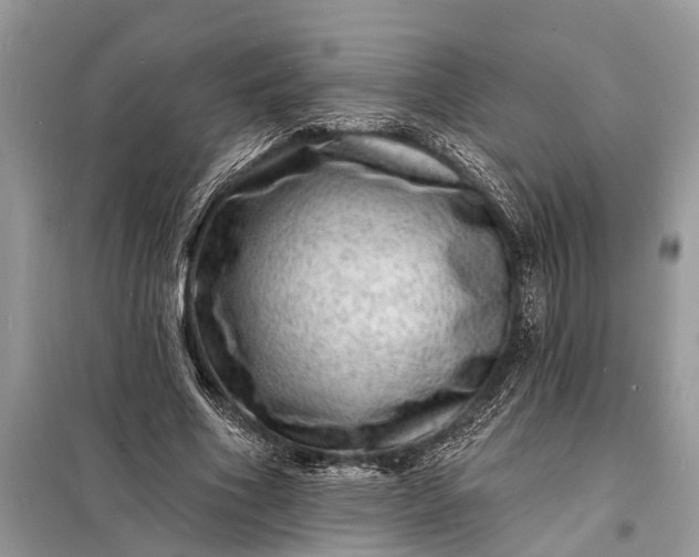 X0000098200586200805081113