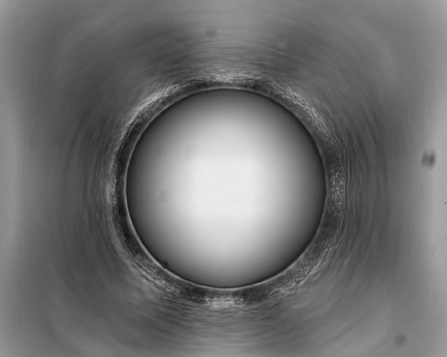 X0000098200587200805081113