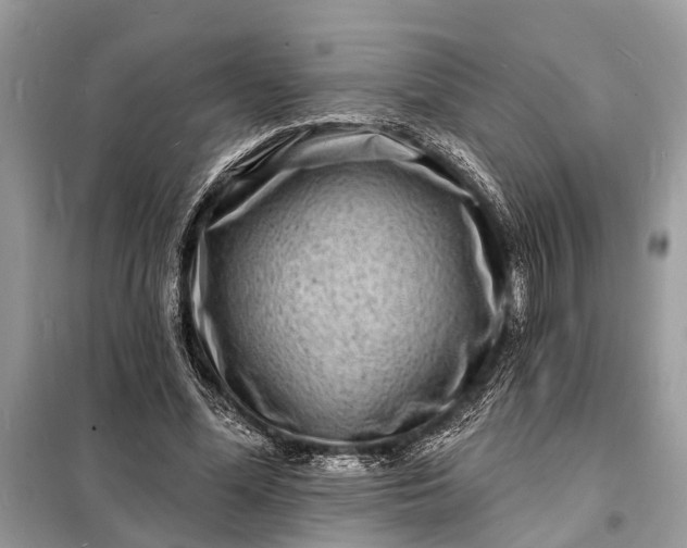 X0000098200588200805081113
