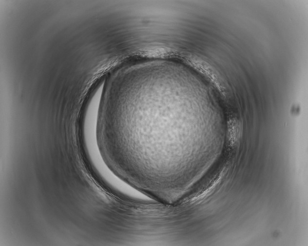 X0000098200589200805081113