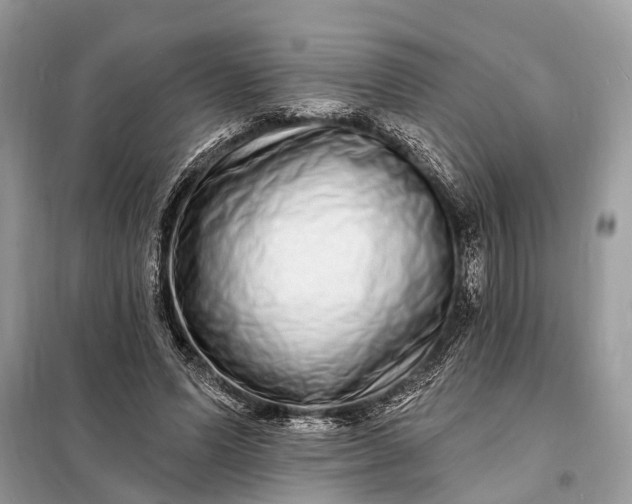 X0000098200591200805081113