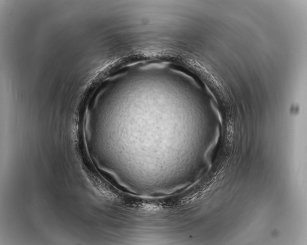 X0000098200592200805081113