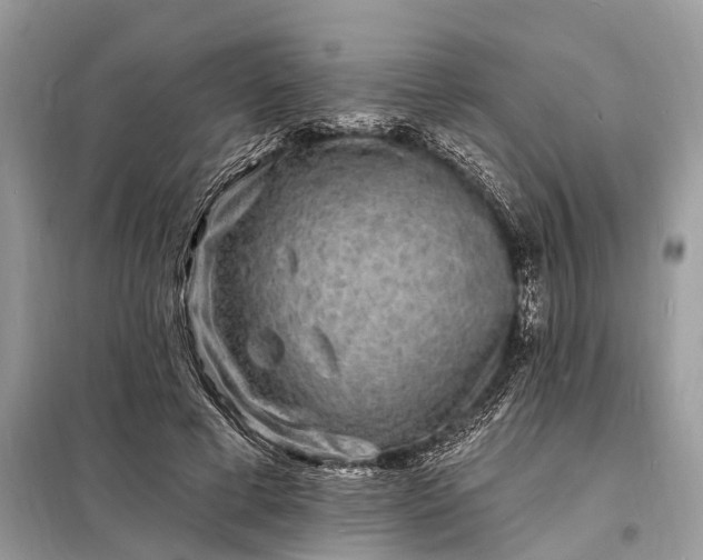 X0000098200593200805081113