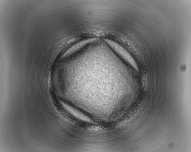 X0000098200594200805081113