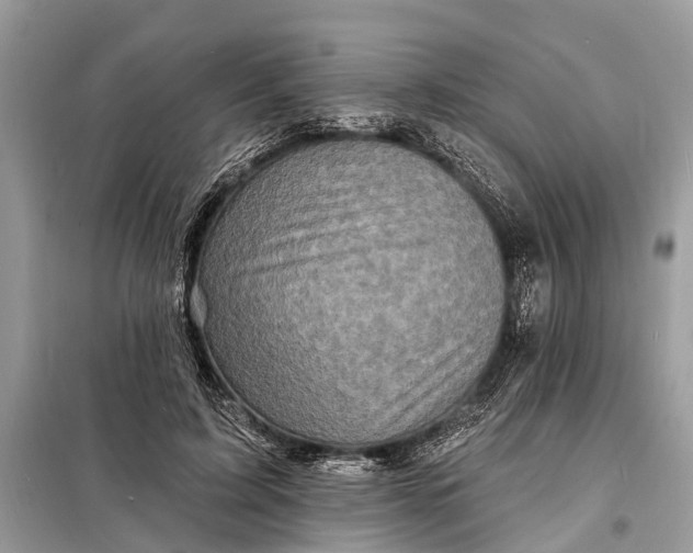 X0000098200595200805081113