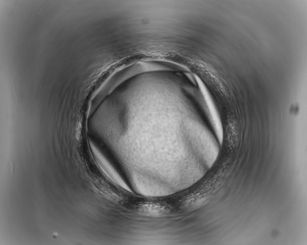 X0000098200596200805081113
