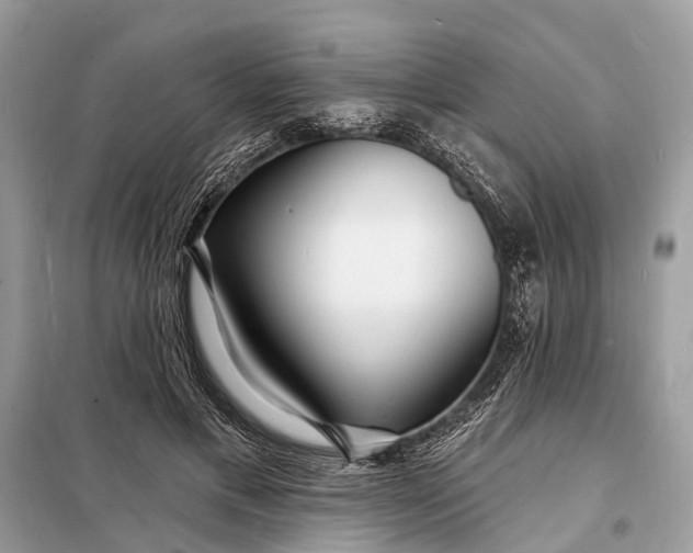 X0000098200597200805081113