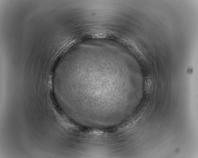 X0000098200598200805081113