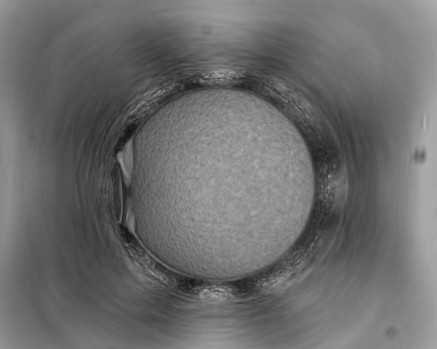 X0000098200599200805081113