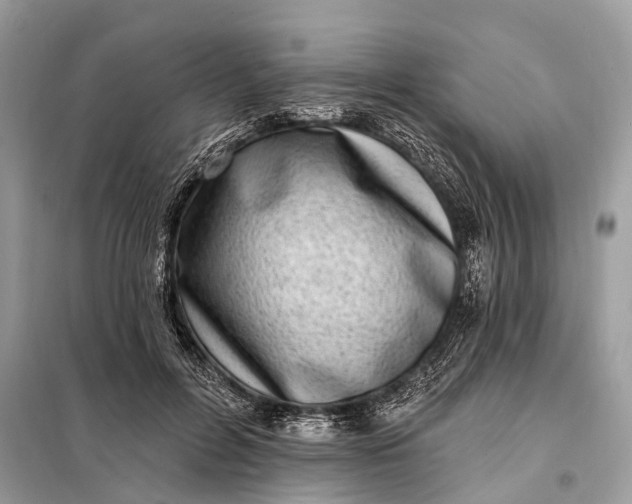 X0000098200600200805081113