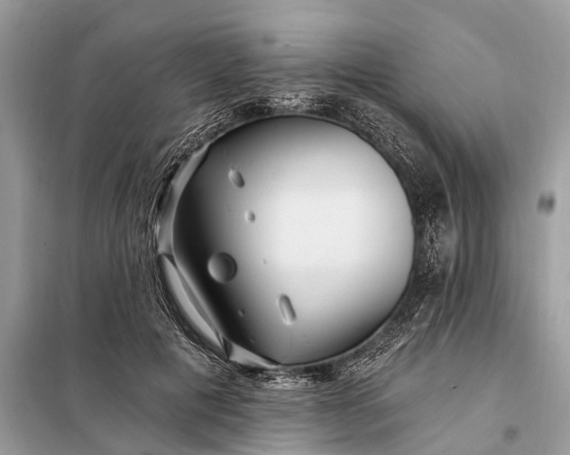 X0000098200601200805081113