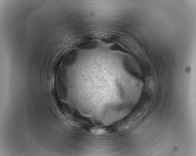 X0000098200602200805081113