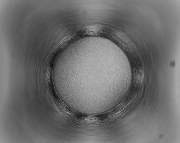 X0000098200603200805081113