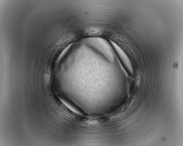 X0000098200604200805081113