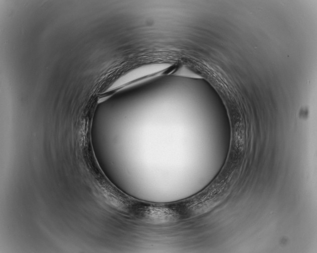 X0000098200605200805081113