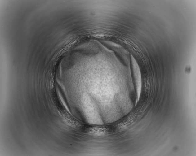 X0000098200606200805081113