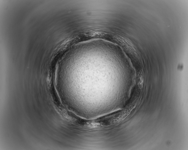 X0000098200607200805081113