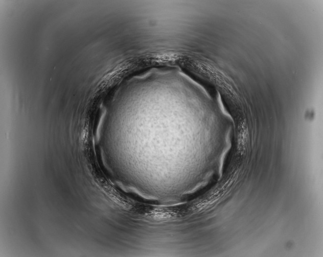 X0000098200608200805081113