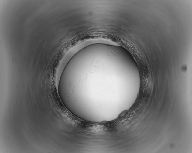 X0000098200609200805081113