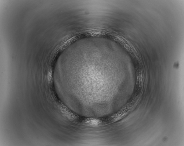 X0000098200610200805081113