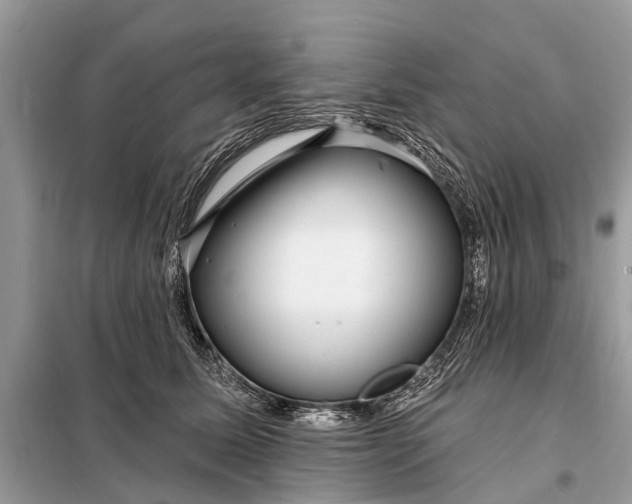 X0000098200611200805081113