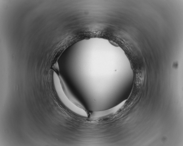 X0000098200613200805081113