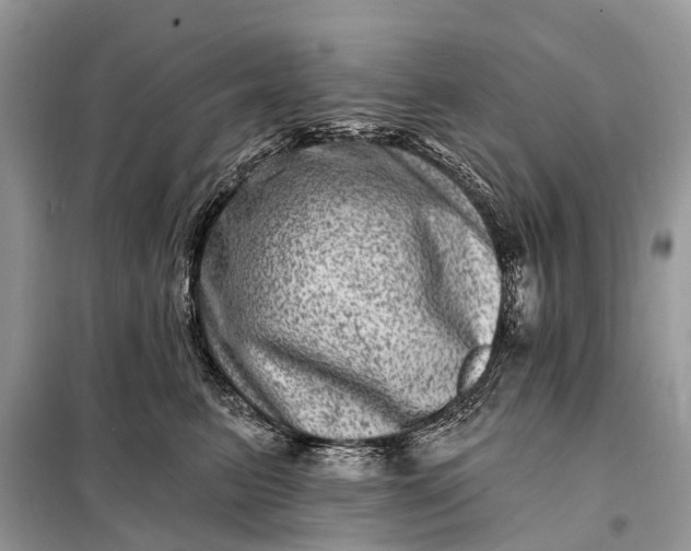 X0000098200615200805081113
