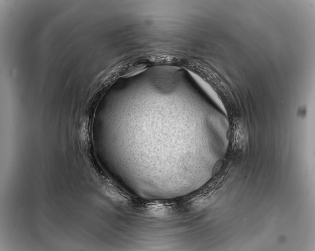 X0000098200616200805081113