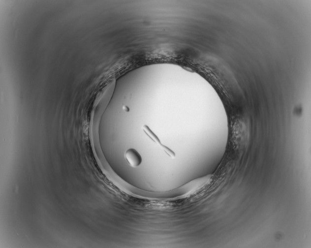 X0000098200617200805081113