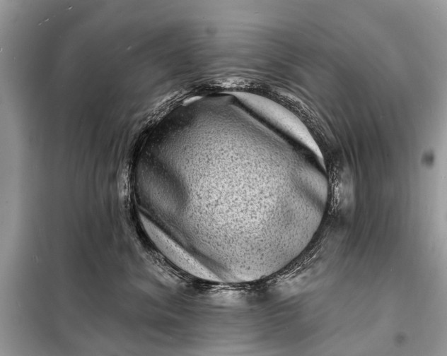 X0000098200620200805081113