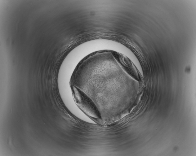 X0000098200621200805081113