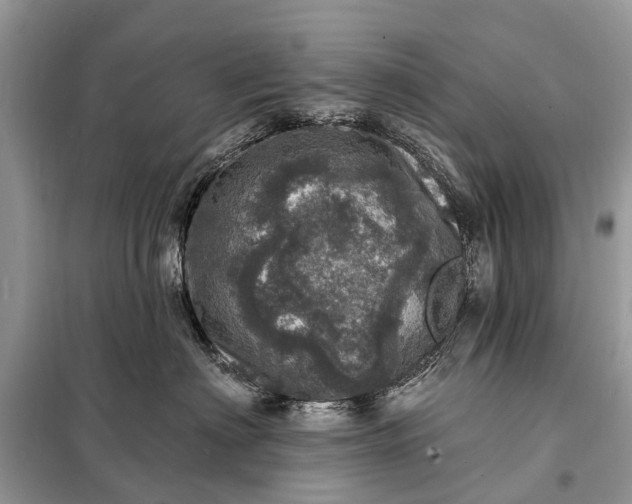 X0000098200622200805081113