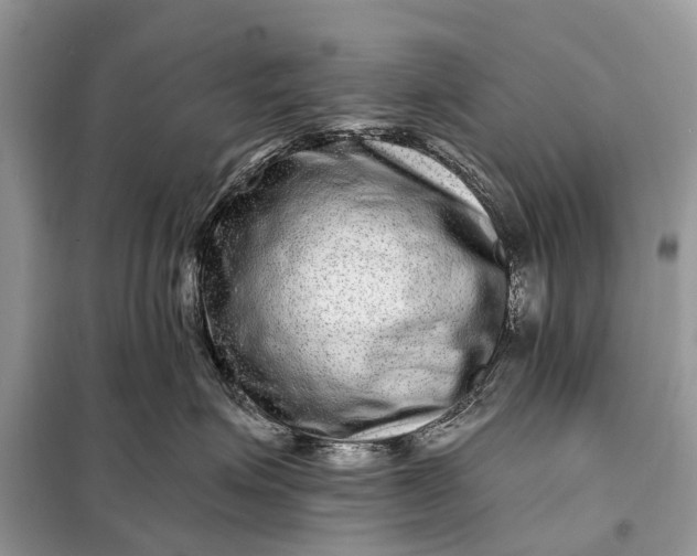 X0000098200623200805081113