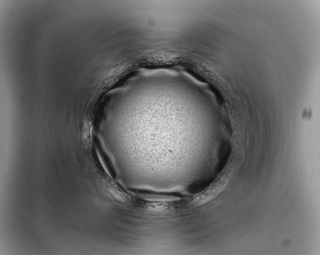 X0000098200624200805081113