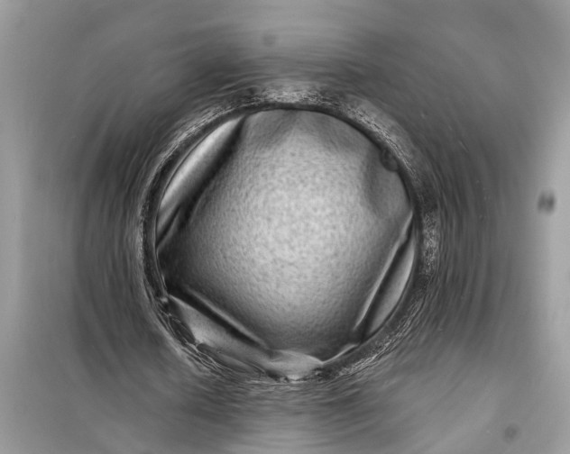 X0000098200626200805081112