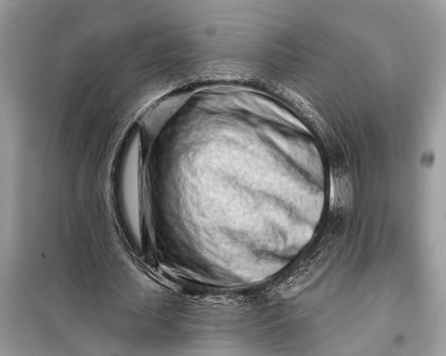 X0000098200627200805081112