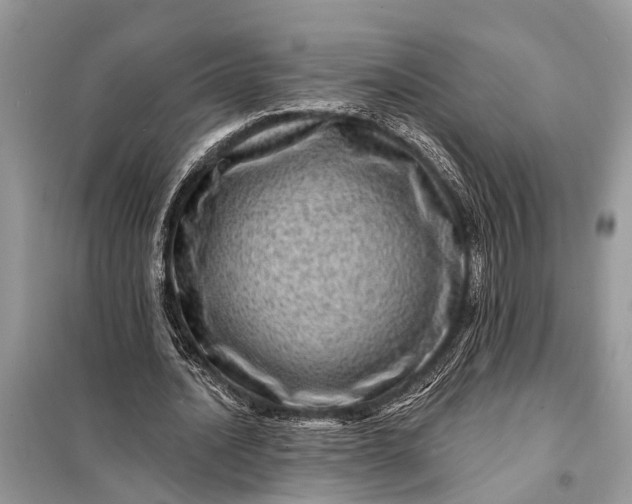 X0000098200628200805081112