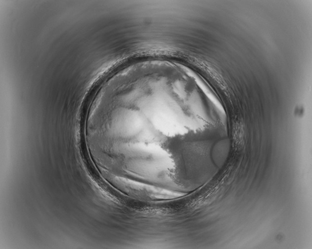 X0000098200629200805081112