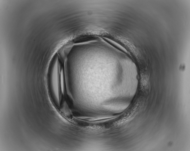 X0000098200630200805081112