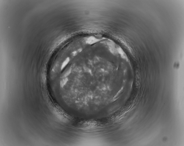 X0000098200631200805081112